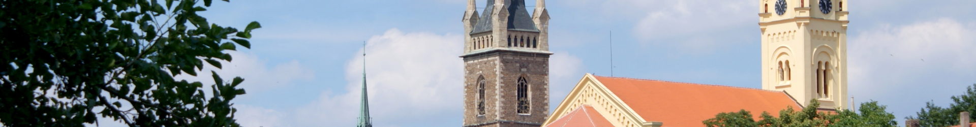 Městská policie ve Vrdech